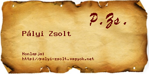 Pályi Zsolt névjegykártya